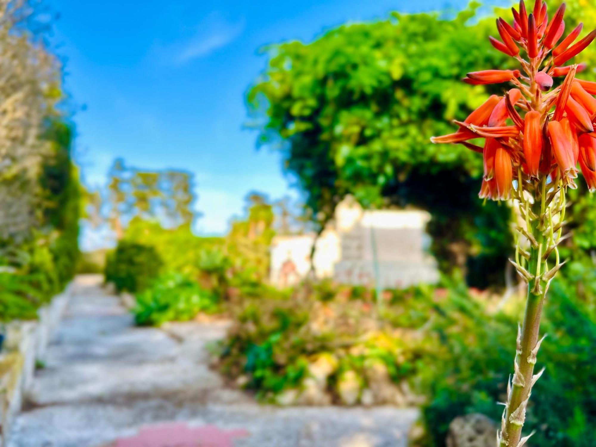 Villa Primavera Favignana Esterno foto