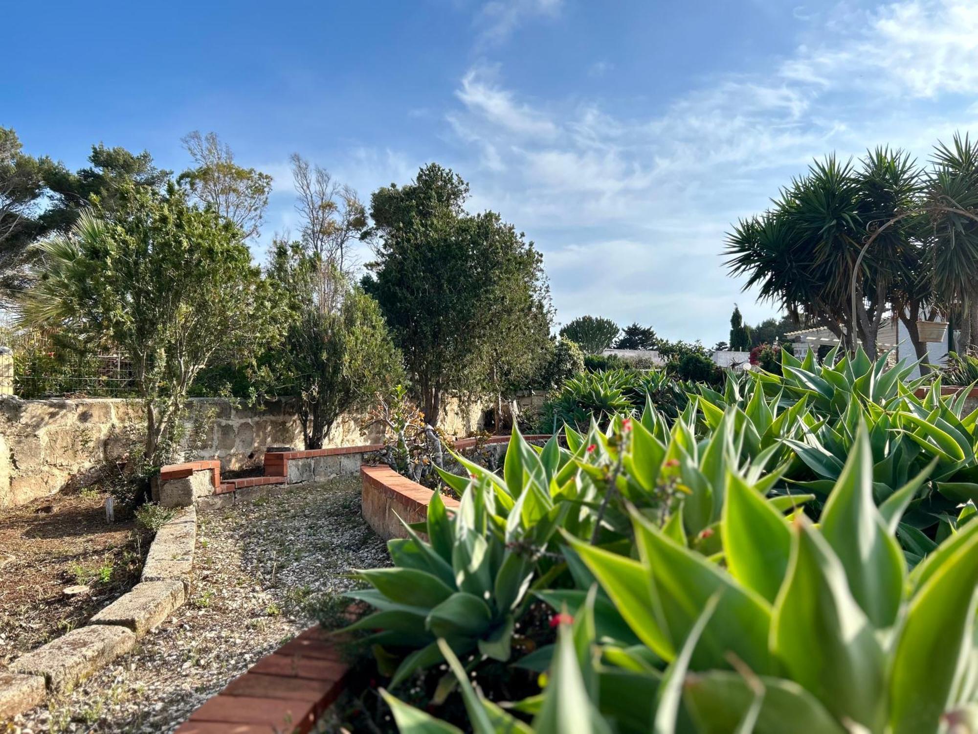 Villa Primavera Favignana Esterno foto